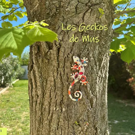 Les Geckos De Mus Apartment Exterior photo