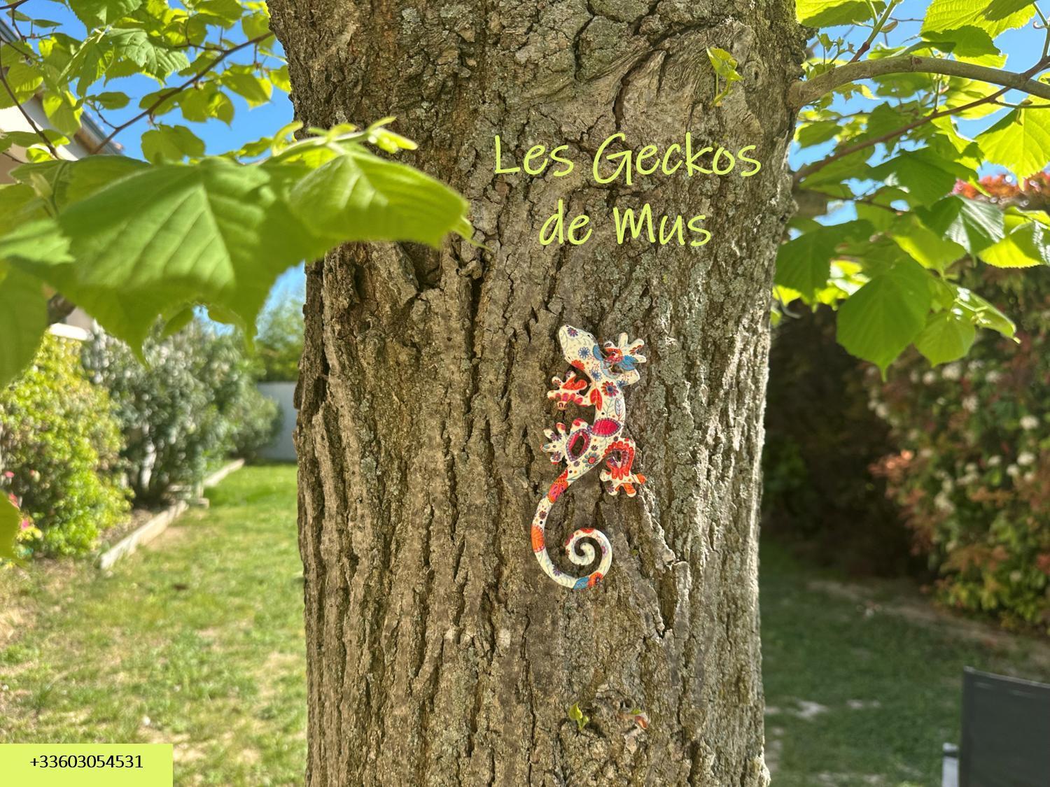 Les Geckos De Apartment Mus